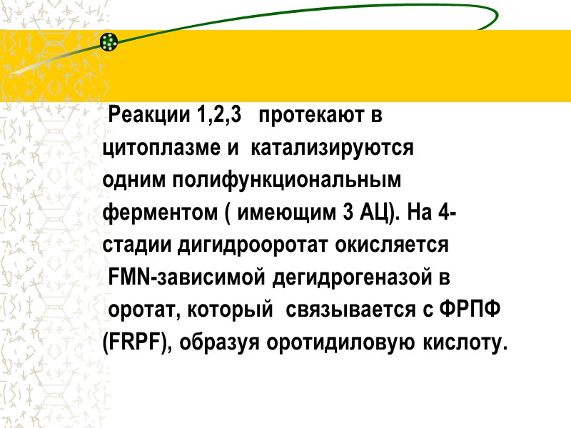 Реакции 1,2,3   протекают в        